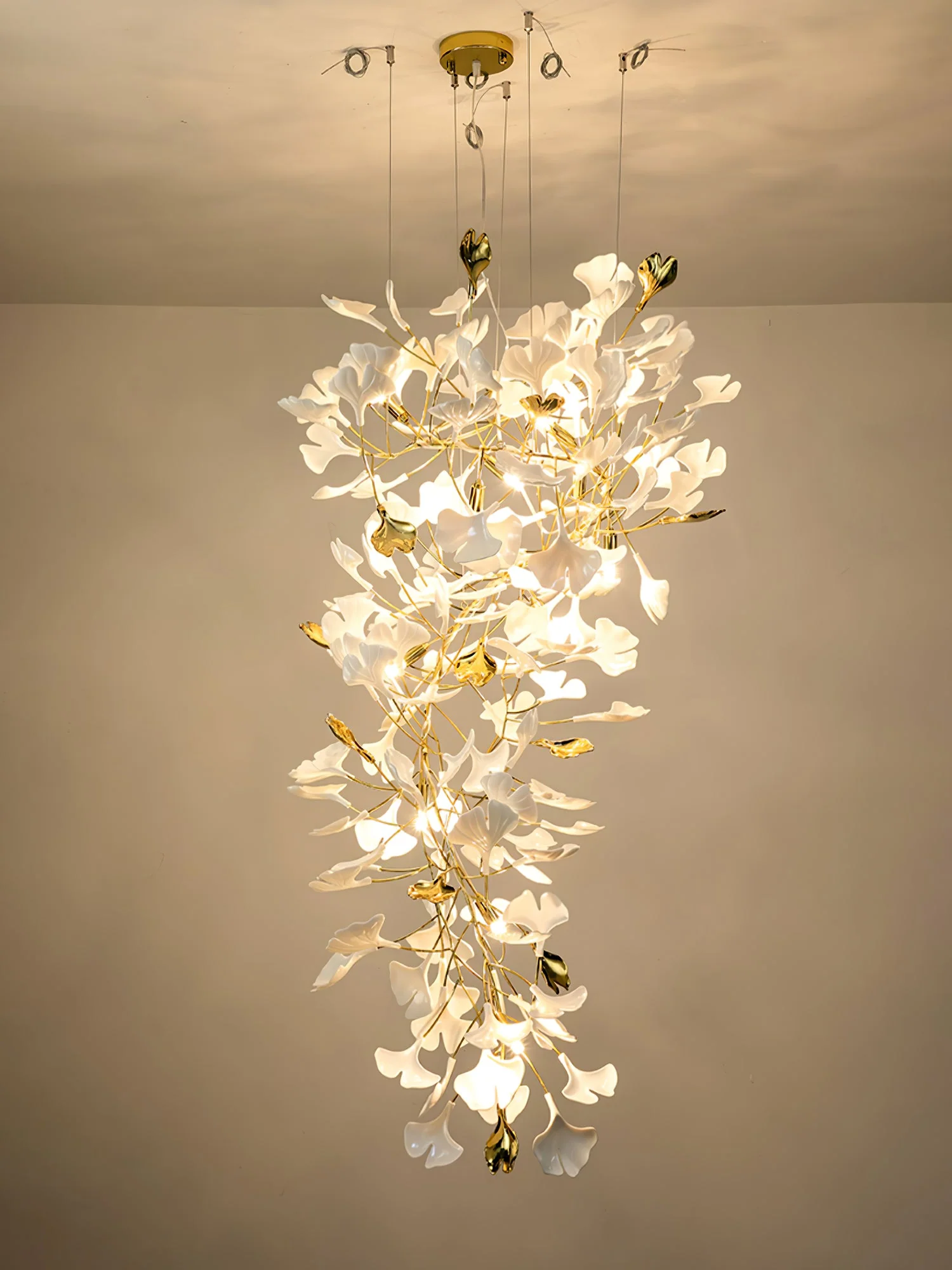 Product image 63