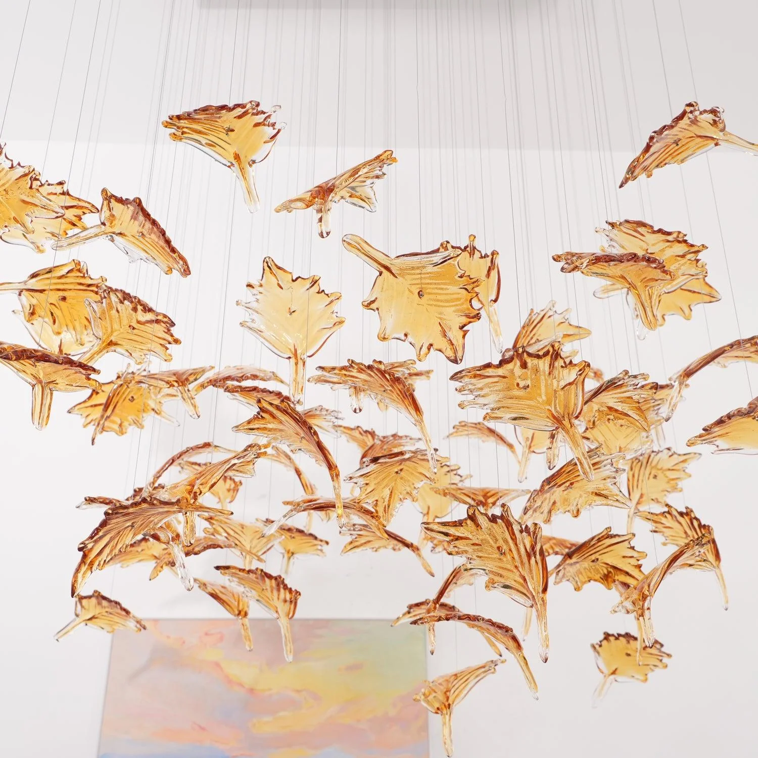 Product image 50